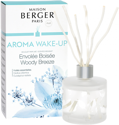 Lampe Berger Geurstokjes Aroma Wake Up- Envolee Boisee