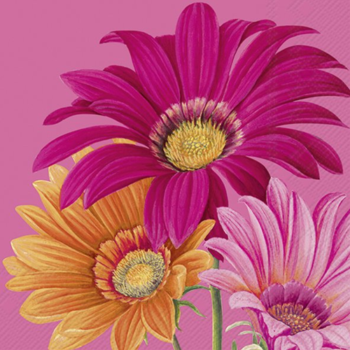 Ihr 10383 Lunchservietten 25x25cm 20 stuks Joyful Gerbera pink